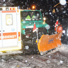 normal_06122011auvurlaktivens_20_73_.jpg