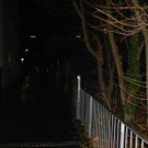 Dr_Fritz Hartl Weg Richtung Grinzinger Allee 002.JPG