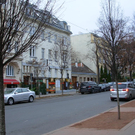 sieveringerstr neue b__ume.JPG