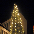 _DSC01000010.JPG