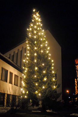 _DSC01000010.JPG