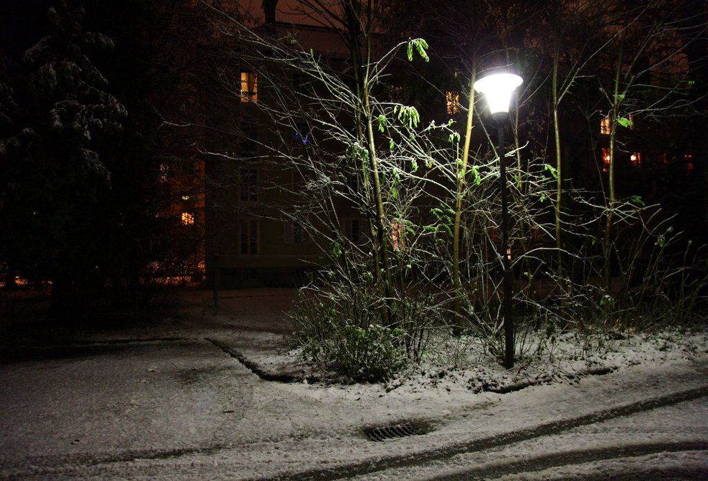06122011fmt_ersterschnee_mw_05.JPG