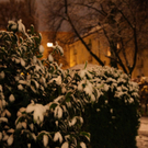 06122011fmt_ersterschnee_mw_15.JPG