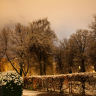 06122011fmt_ersterschnee_mw_16.JPG
