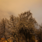 06122011fmt_ersterschnee_mw_17.JPG