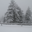07122011fmt_gaisberg_fm_01.jpg