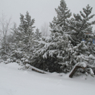 07122011fmt_gaisberg_fm_04.jpg