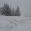 07122011fmt_gaisberg_fm_05.jpg