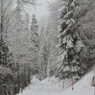 07122011fmt_gaisberg_fm_11.jpg