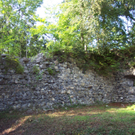 Ruine Blumenegg