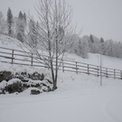 normal_071211schneesfaktivnews012.JPG