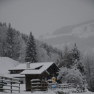normal_071211schneesfaktivnews013.JPG