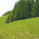 nullinie bei hm 0_6.jpg