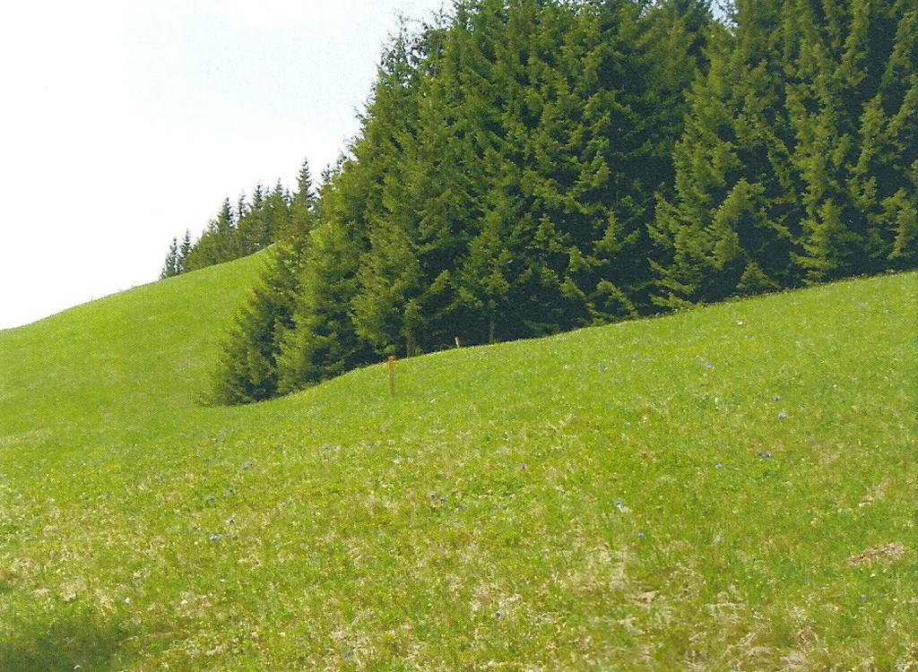 nullinie bei hm 0_6.jpg