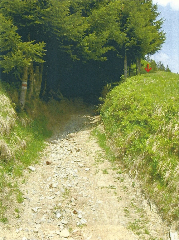 nulllinie bei der hohlwegquerung.jpg