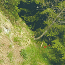 steiler hangbereich am waldrand.jpg