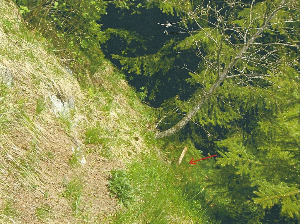 steiler hangbereich am waldrand.jpg