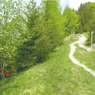 hier verl__uft die trasse links im hang.jpg