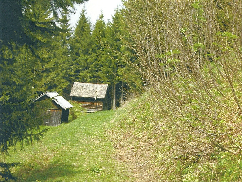 bestehender weg bereich jola.jpg