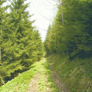 weg bei ca hm6.jpg
