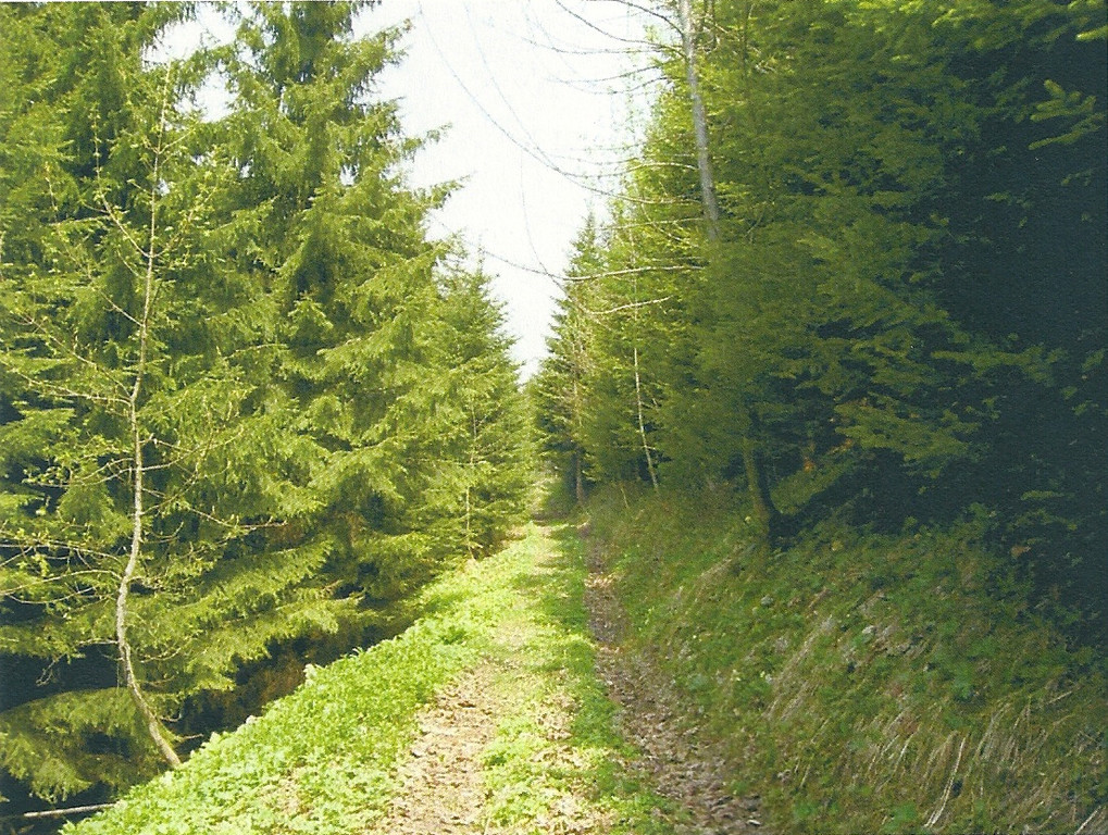 weg bei ca hm6.jpg
