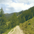 hm11.jpg