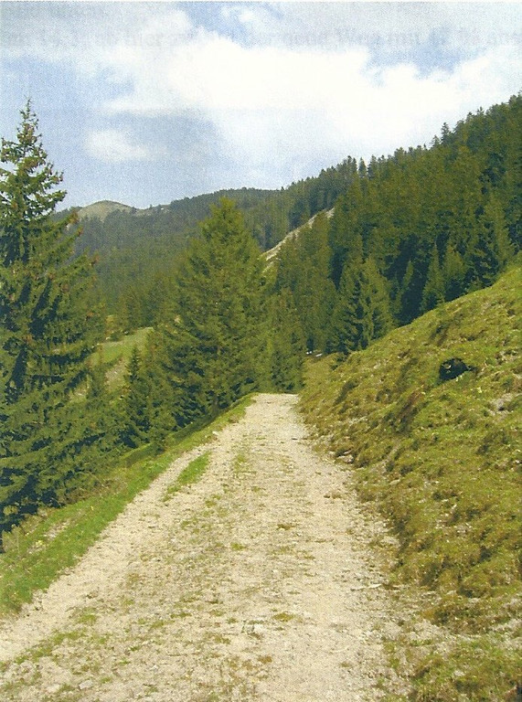hm11.jpg