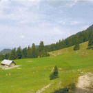 trassenverlauf zwischen hm12und14_3.jpg