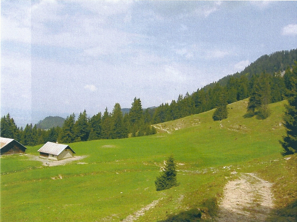trassenverlauf zwischen hm12und14_3.jpg