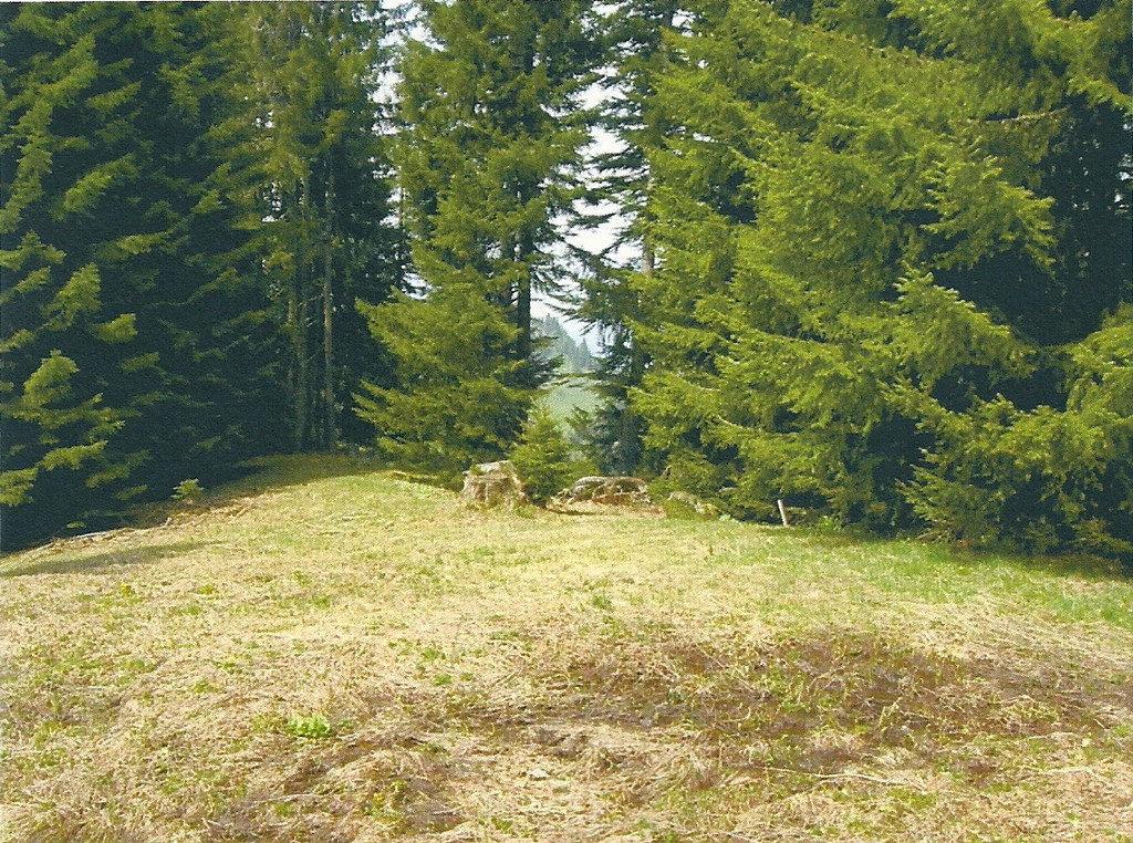 wegende und umkehrplatz.jpg