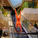 d08lXI488.jpg