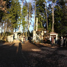 normal_08122011WaldweihnachtHalsbachBSaktivnews005.jpg
