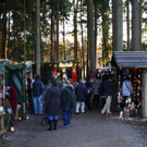 normal_08122011WaldweihnachtHalsbachBSaktivnews019.jpg