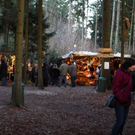 normal_08122011WaldweihnachtHalsbachBSaktivnews040.jpg