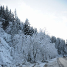 normal_081211wintersfaktivnews002.JPG