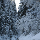 normal_081211wintersfaktivnews004.JPG