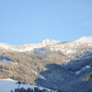normal_081211wintersfaktivnews007.JPG