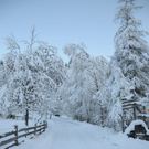 normal_081211wintersfaktivnews011.JPG
