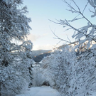 normal_081211wintersfaktivnews012.JPG