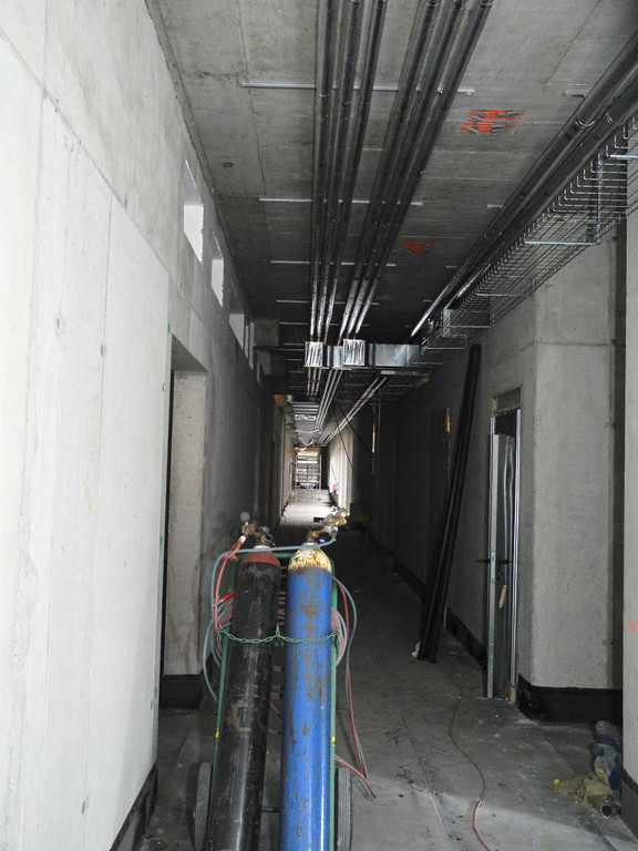 DSCN8500_jpg-1323441024