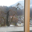 DSCN8518_JPG-1323441246