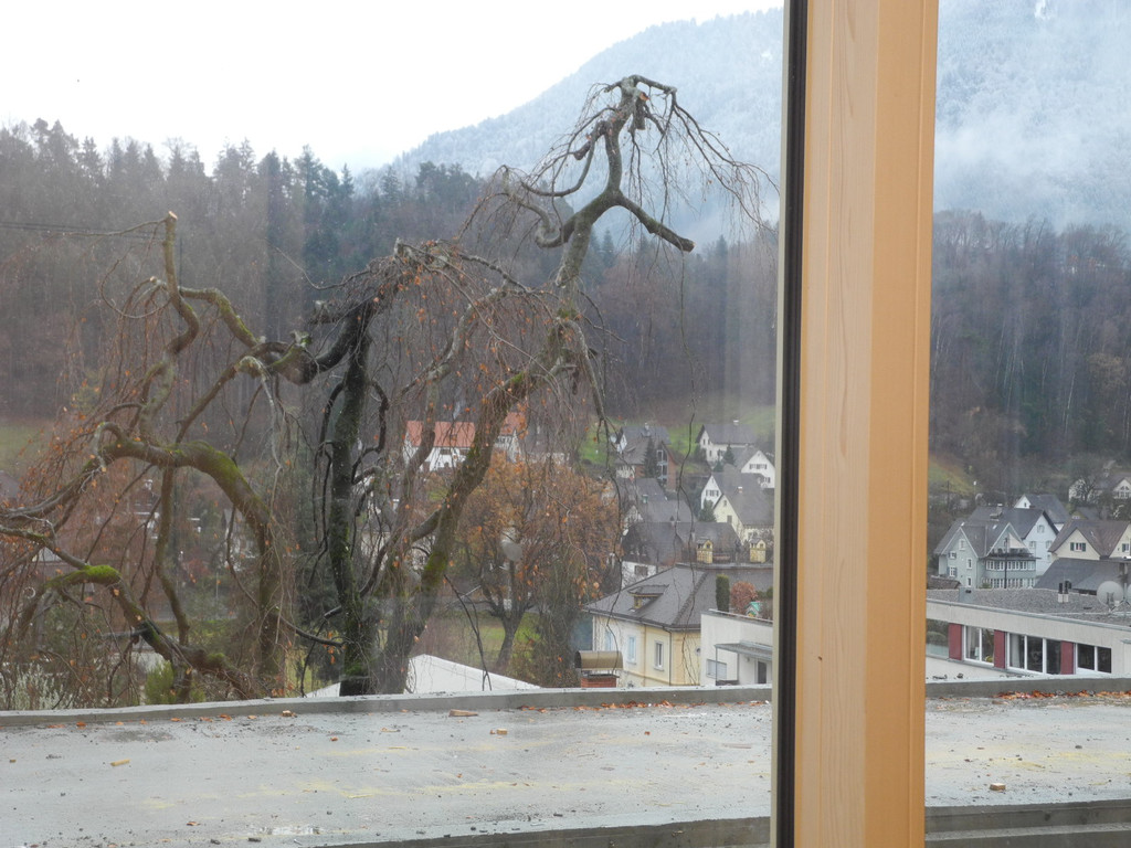 DSCN8518_JPG-1323441246