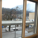 DSCN8519_jpg-1323441258