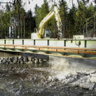 DSCN8550_JPG-1323443545