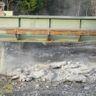 DSCN8612_JPG-1323443586