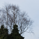 DSC_0070.JPG