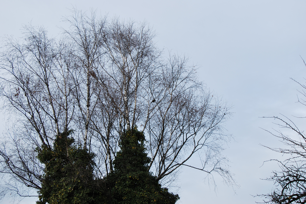 DSC_0070.JPG