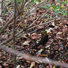 DSC_0021.JPG