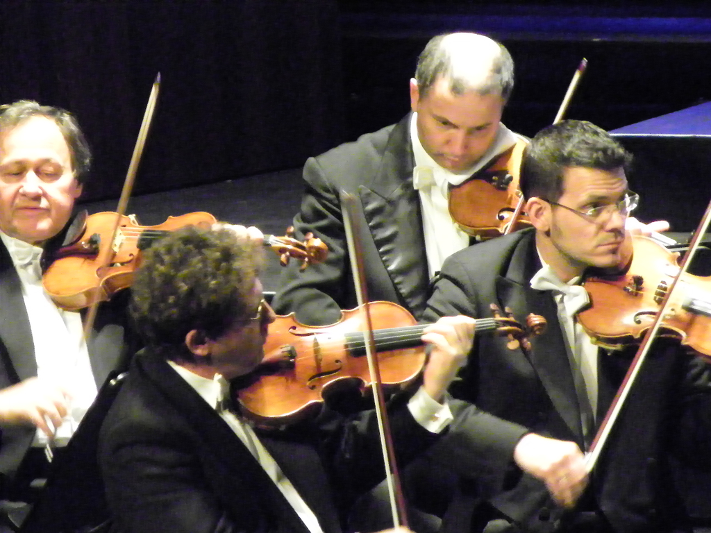 113_3192_JPG-1323474525