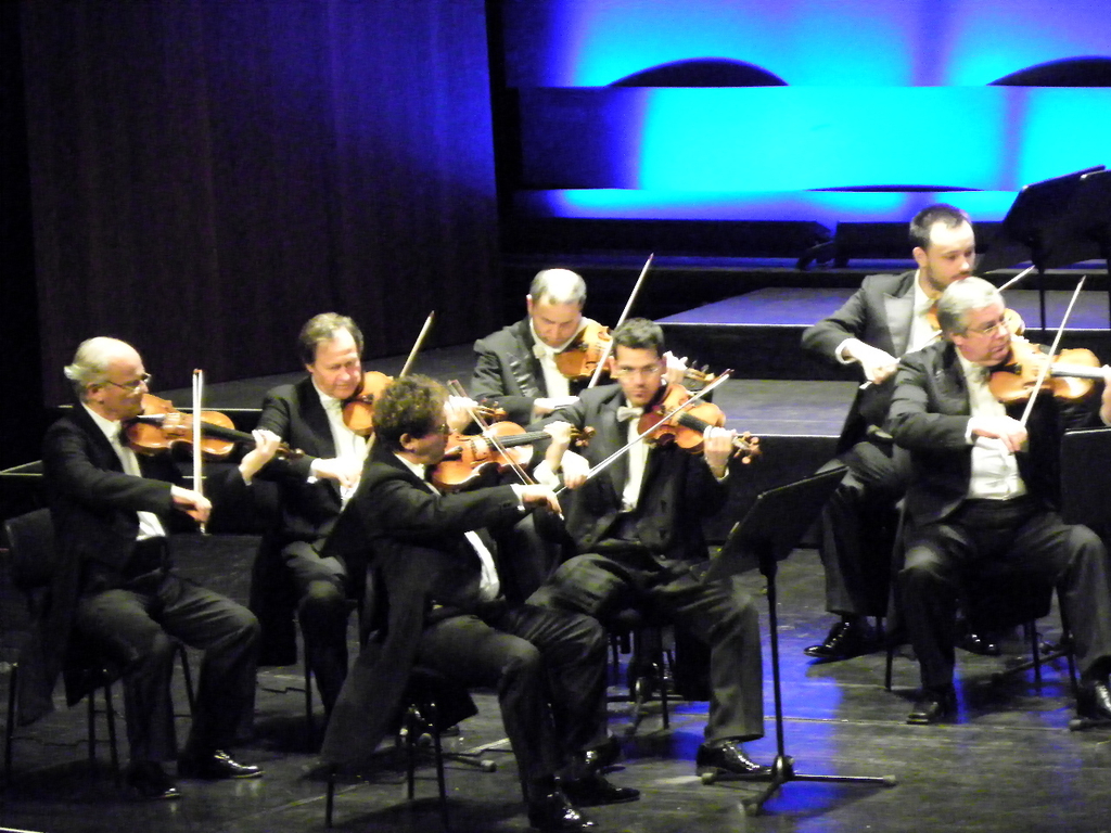 113_3177_JPG-1323474437